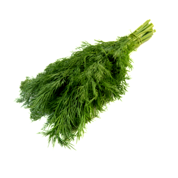 DILL KILO