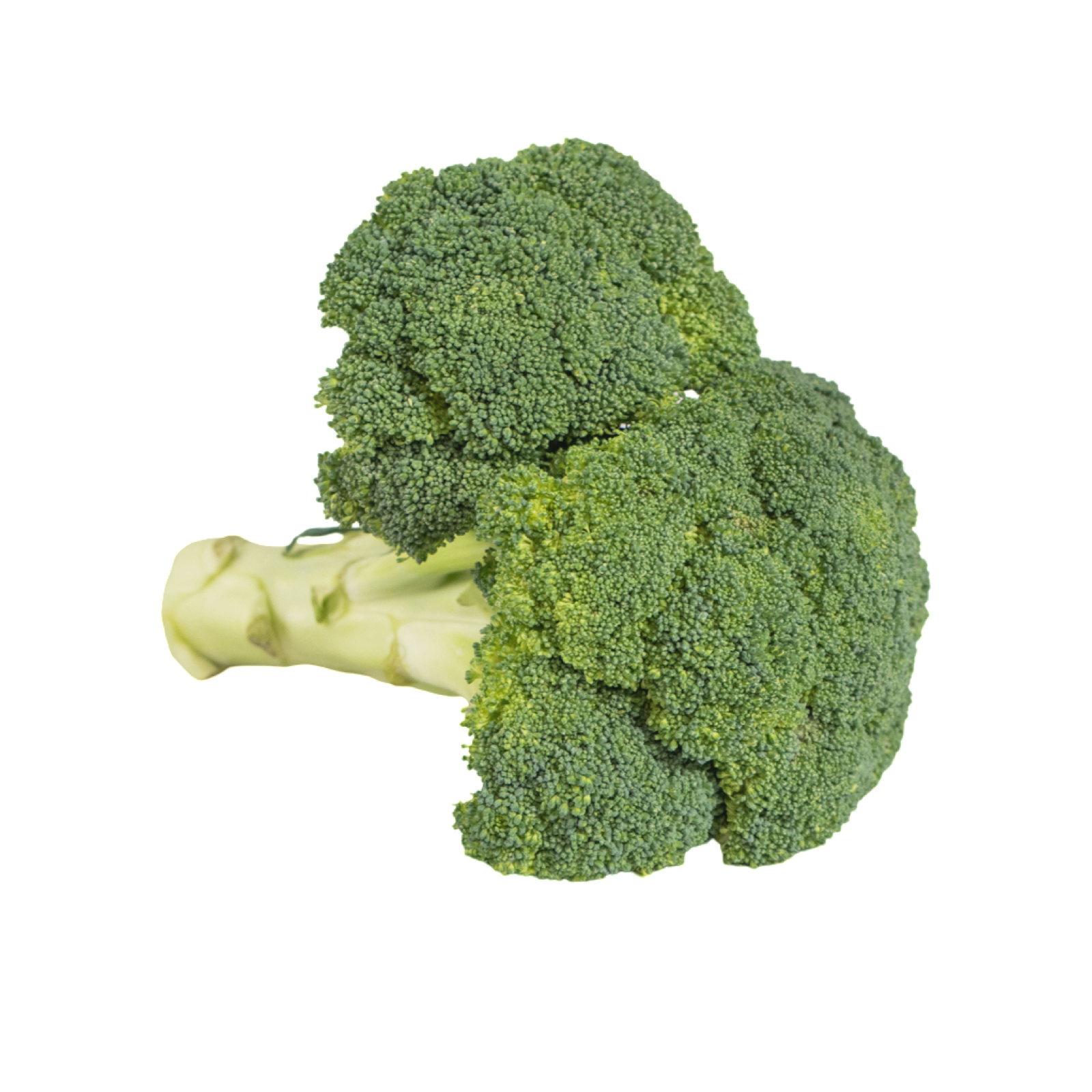 BROCCOLI 4CT SPLIT