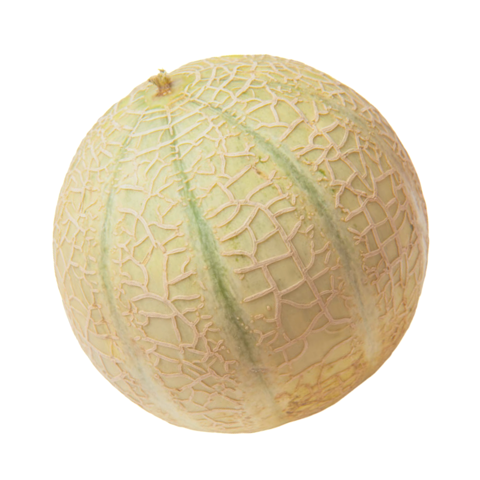 CANTALOUPE MELON 12 CT