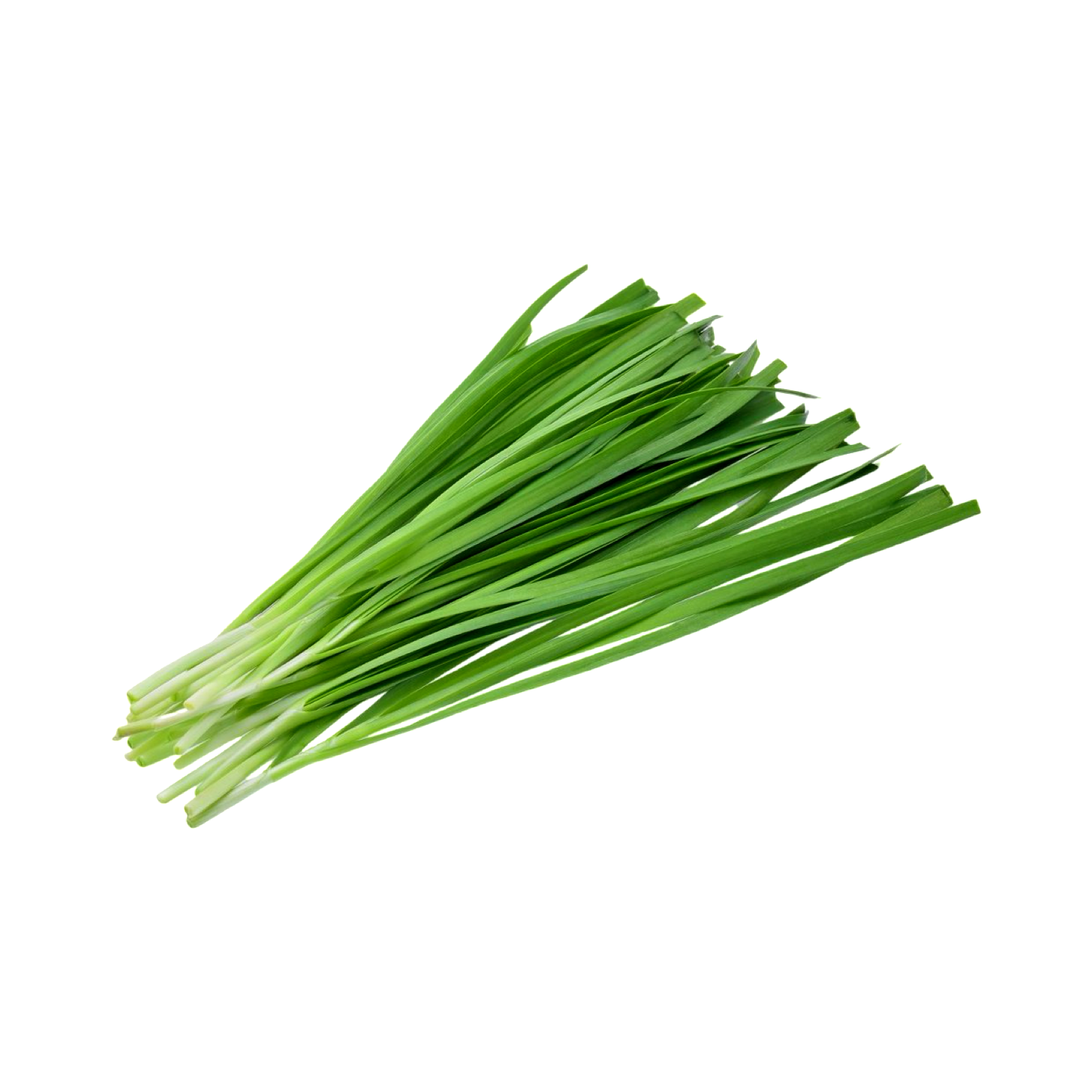 CHIVES FRESH KILO