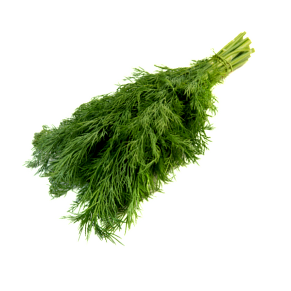 DILL SPLIT 2 BUNCH