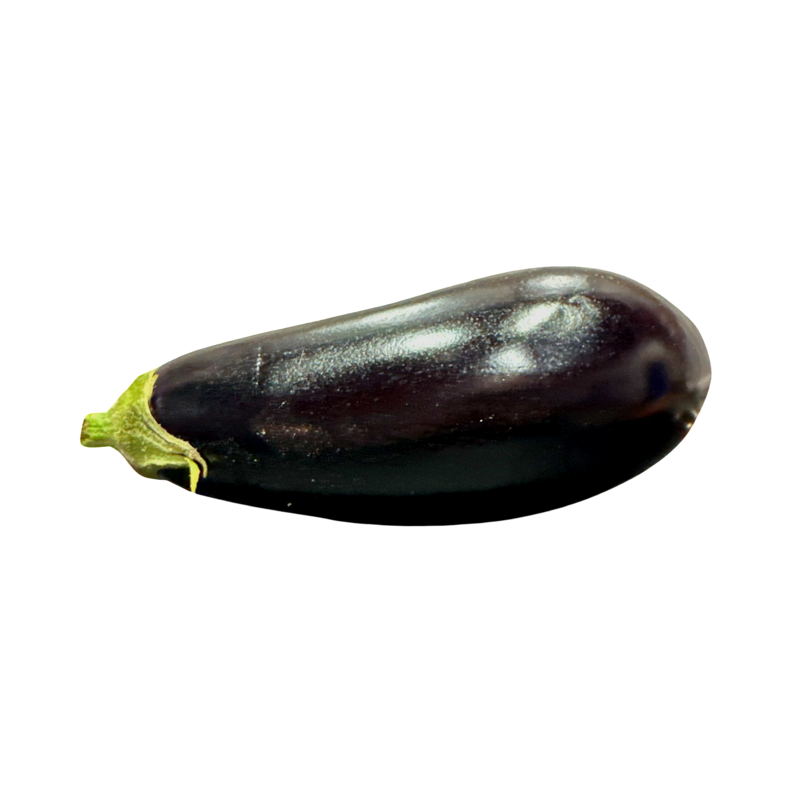 EGGPLANT FANCY