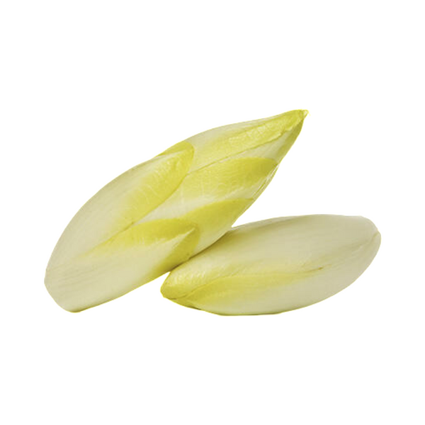 ENDIVE