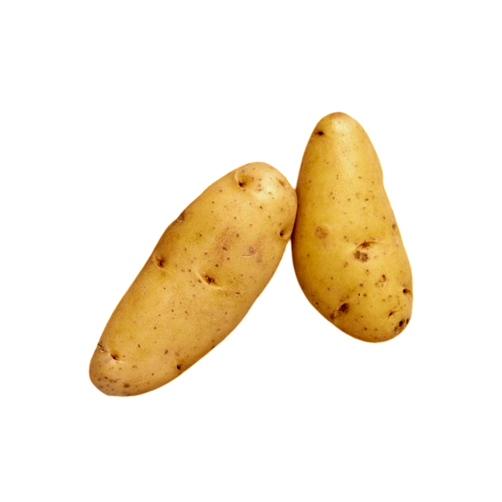 FINGERLING POTATOES 50 LB