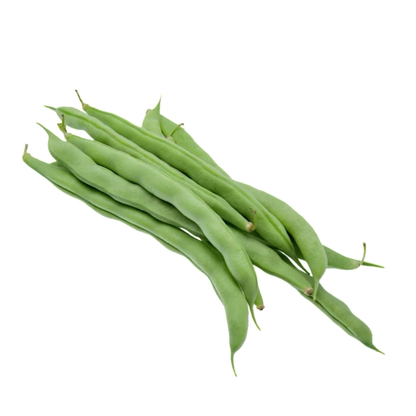 FRENCH BEANS 5 LB