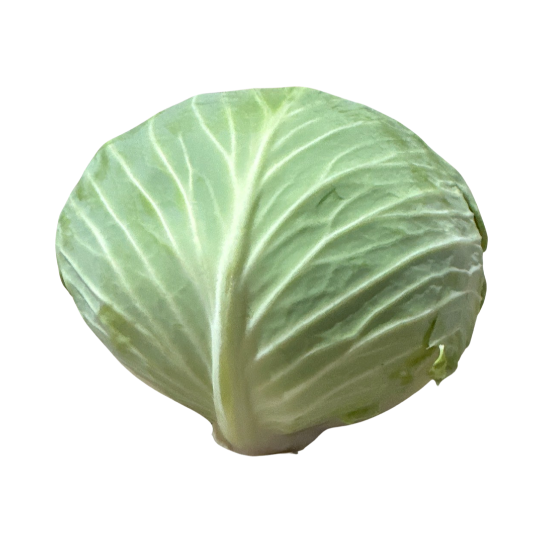 CABBAGE GREEN