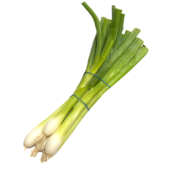 SCALLIONS