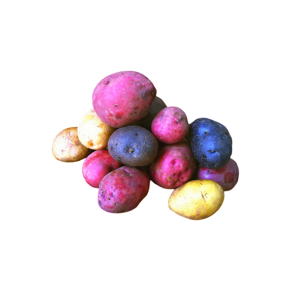 POTATOES MIXED COLOR