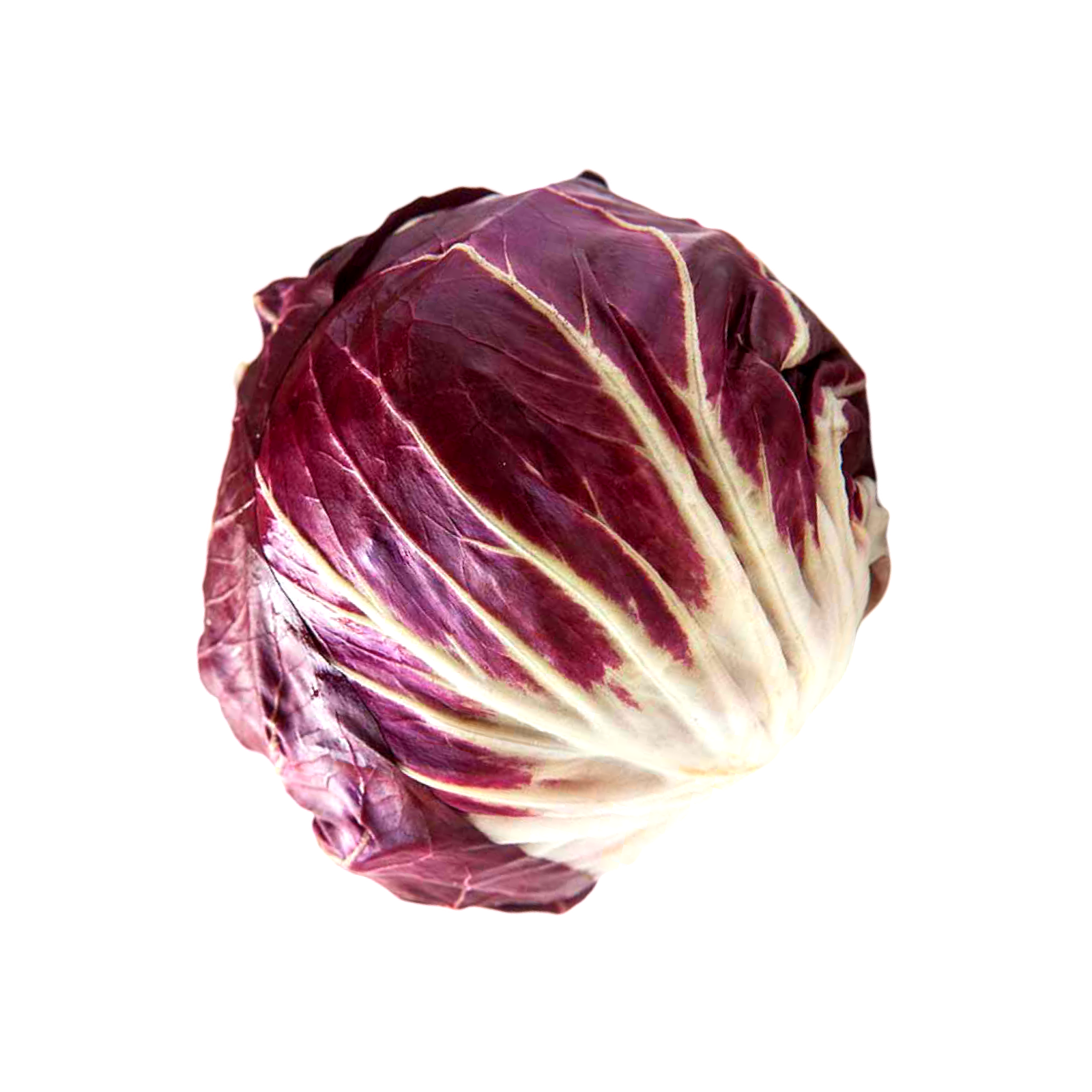 RADICCHIO 9CT