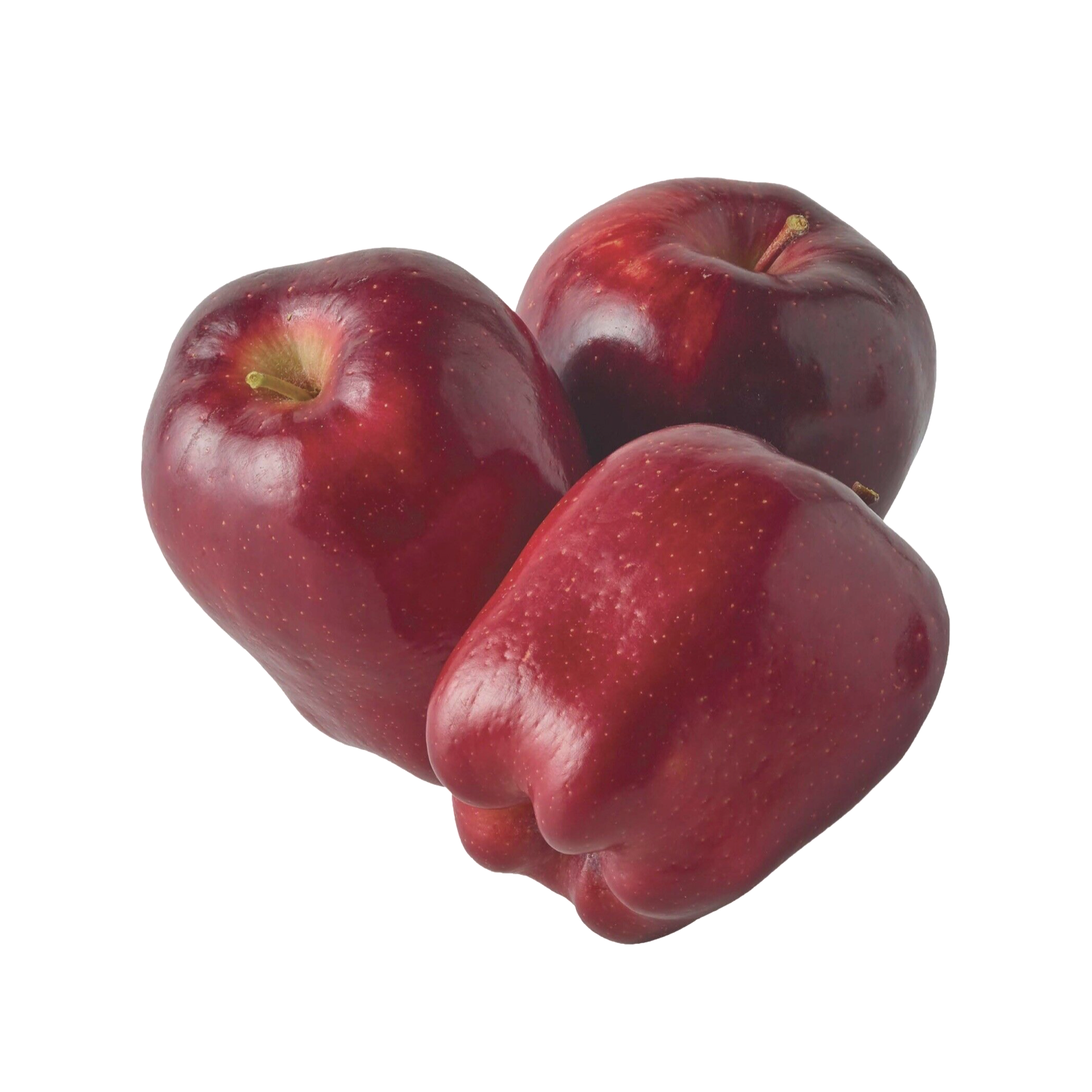 APPLE RED 6 CT SPLIT