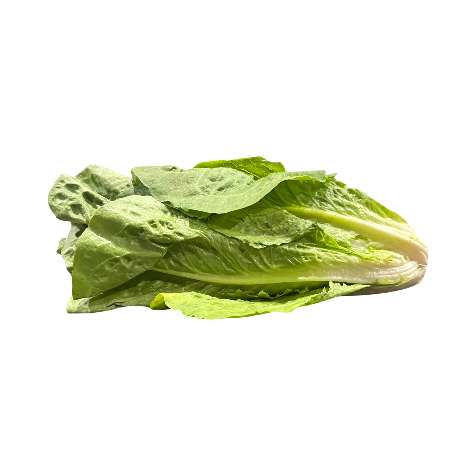 ROMAINE HEARTS PACKAGED