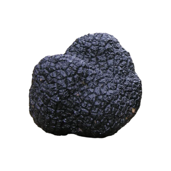 FRESH BLACK TRUFFLE