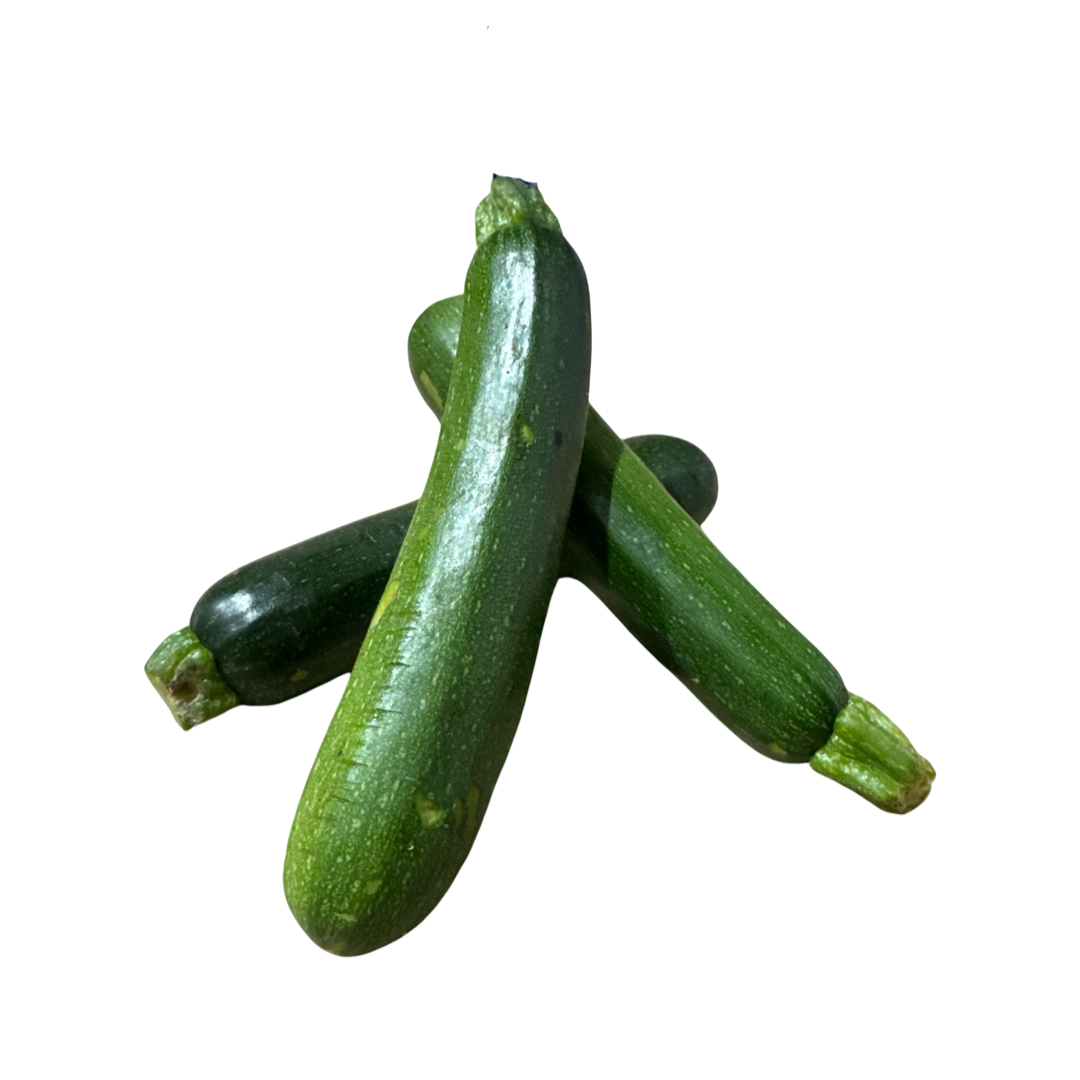 SQUASH GREEN ZUCCHINI