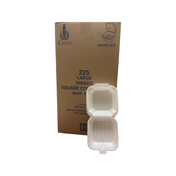6 225 FOAM HINGED CONTAINER
